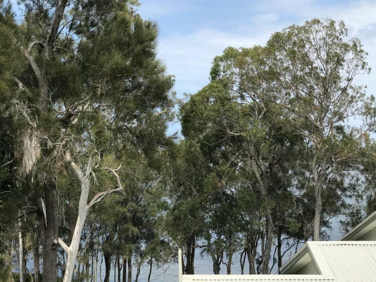 The Lake Guesthouse Budgewoi Εξωτερικό φωτογραφία